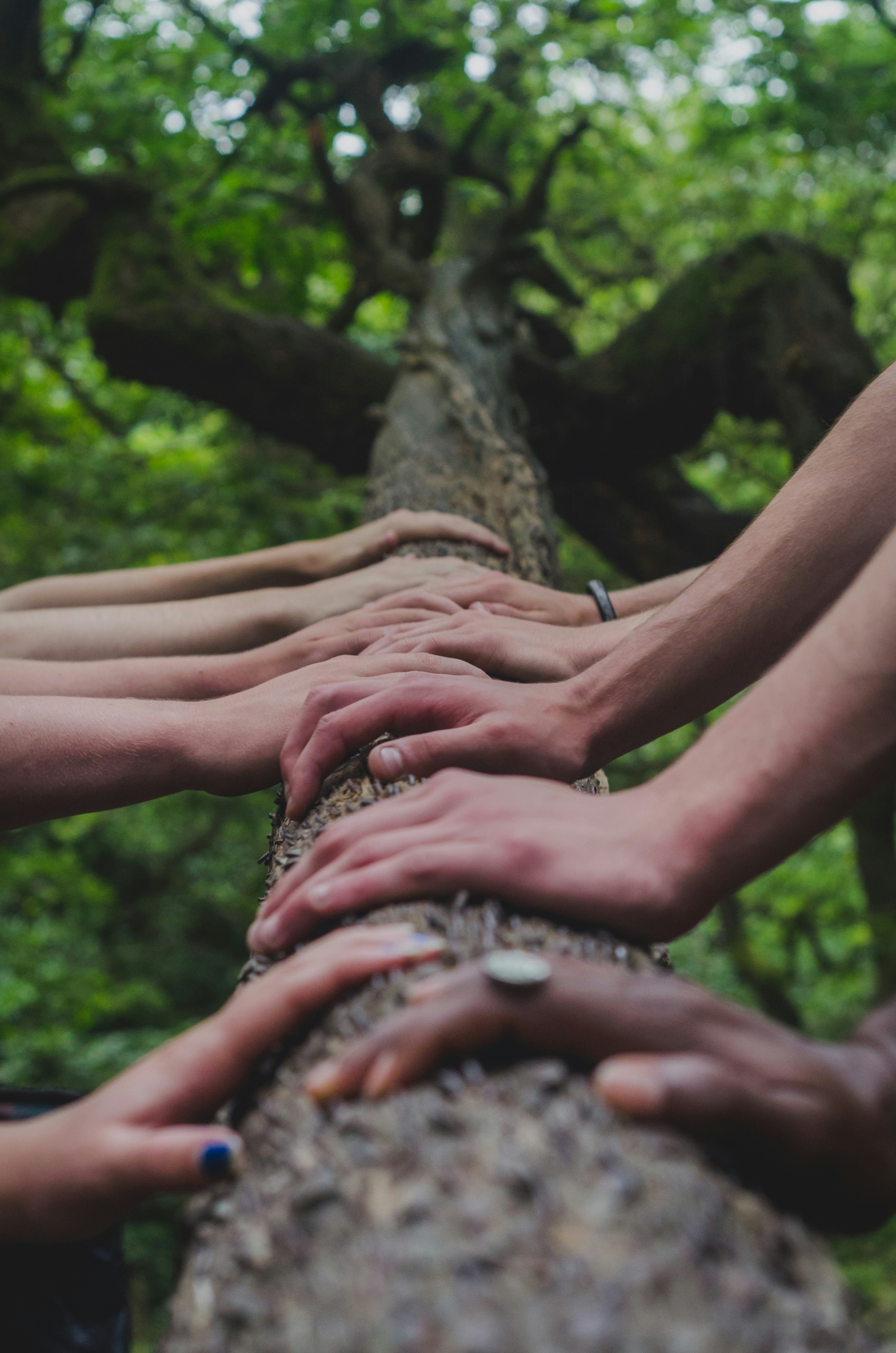 Values-driven leadership